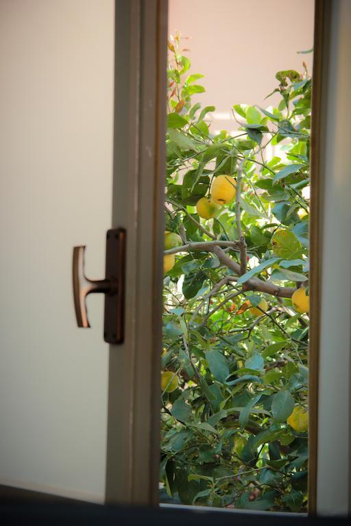 Cafisu Bed & Breakfast 3*